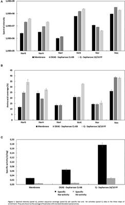 Exploring the Molecular Machinery of Denitrification in Haloferax mediterranei Through Proteomics